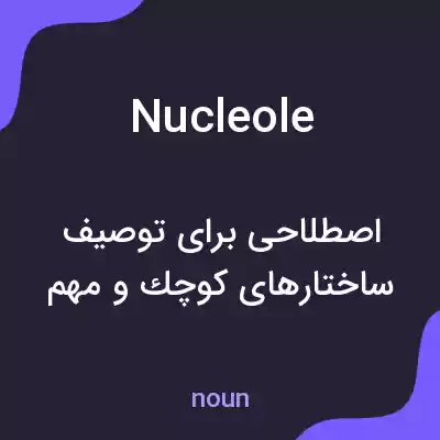 معنی nucleole به فارسی معنی nucleole به فارسی