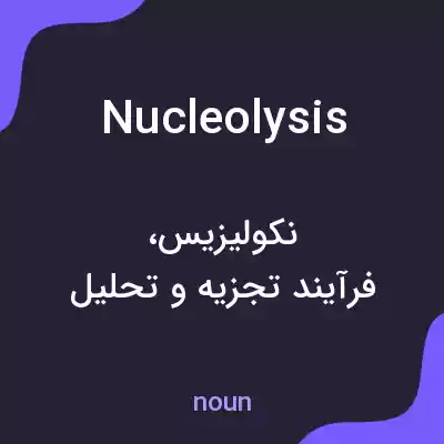 معنی nucleolysis به فارسی معنی nucleolysis به فارسی