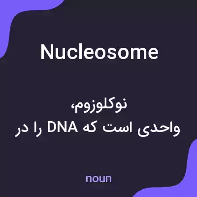 معنی nucleosome به فارسی معنی nucleosome به فارسی