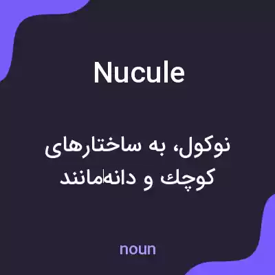 معنی nucule به فارسی معنی nucule به فارسی