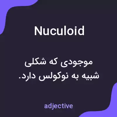 معنی nuculoid به فارسی معنی nuculoid به فارسی