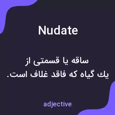 معنی nudate به فارسی معنی nudate به فارسی