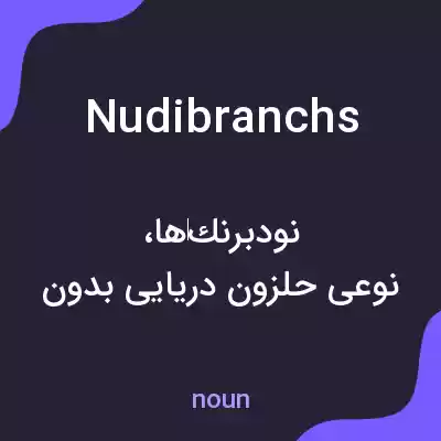معنی nudibranchs به فارسی معنی nudibranchs به فارسی