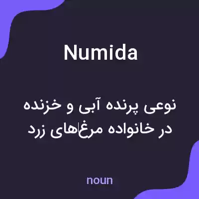 معنی numida به فارسی معنی numida به فارسی