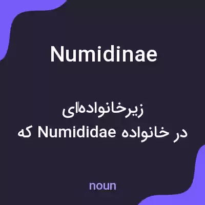 معنی numidinae به فارسی معنی numidinae به فارسی