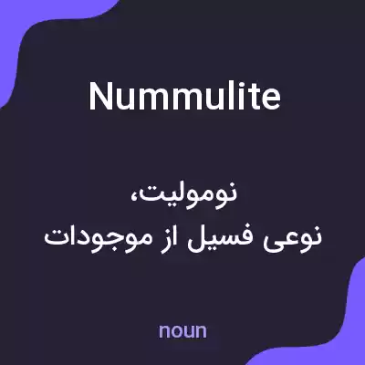 معنی nummulite به فارسی معنی nummulite به فارسی