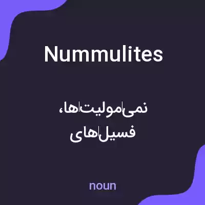 معنی nummulites به فارسی معنی nummulites به فارسی
