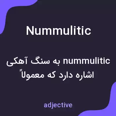 معنی nummulitic به فارسی معنی nummulitic به فارسی