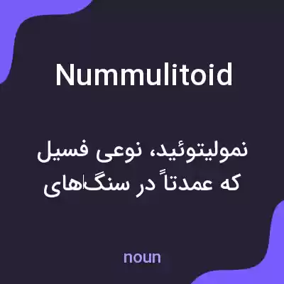 معنی nummulitoid به فارسی معنی nummulitoid به فارسی