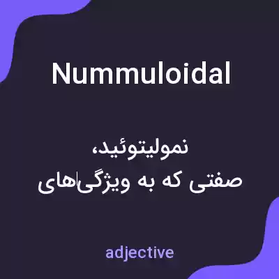 معنی nummuloidal به فارسی معنی nummuloidal به فارسی