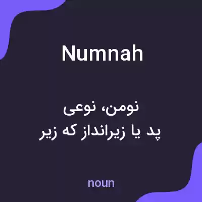 معنی numnah به فارسی معنی numnah به فارسی