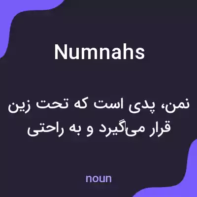 معنی numnahs به فارسی معنی numnahs به فارسی
