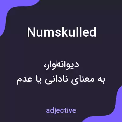 معنی numskulled به فارسی معنی numskulled به فارسی