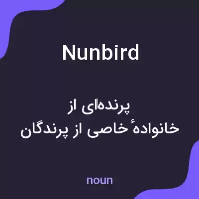 معنی nunbird به فارسی معنی nunbird به فارسی