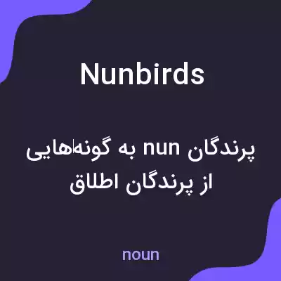 معنی nunbirds به فارسی معنی nunbirds به فارسی