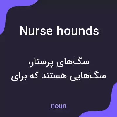 معنی nurse hounds به فارسی