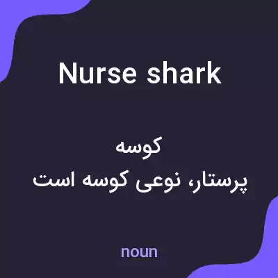 معنی nurse shark به فارسی معنی nurse shark به فارسی