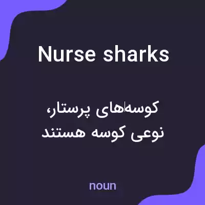 معنی nurse sharks به فارسی معنی nurse sharks به فارسی