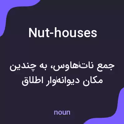 معنی nut-houses به فارسی معنی nut-houses به فارسی