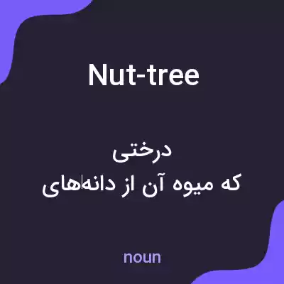 معنی nut-tree به فارسی