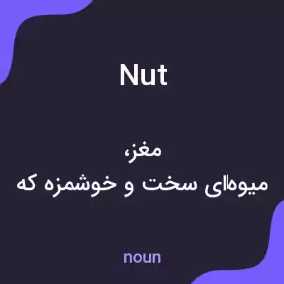 معنی nut به فارسی