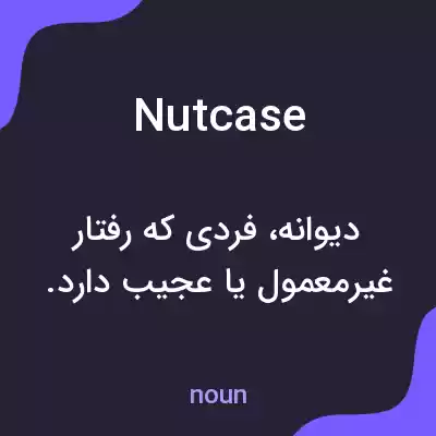 معنی nutcase به فارسی معنی nutcase به فارسی