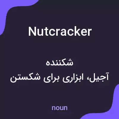 معنی nutcracker به فارسی معنی nutcracker به فارسی