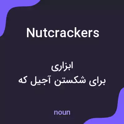 معنی nutcrackers به فارسی معنی nutcrackers به فارسی