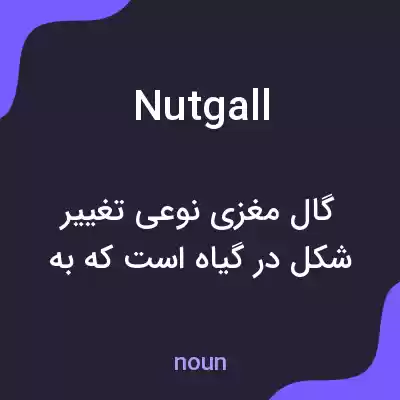 معنی nutgall به فارسی معنی nutgall به فارسی