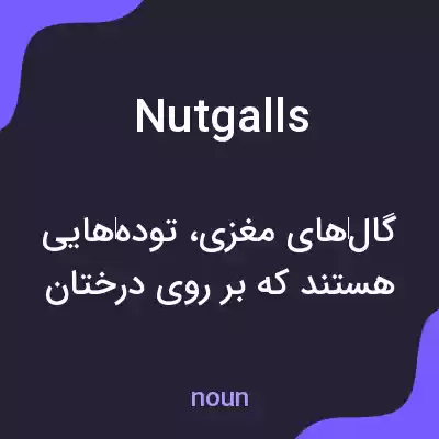 معنی nutgalls به فارسی معنی nutgalls به فارسی