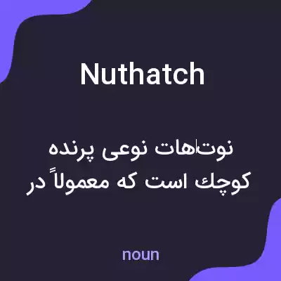معنی nuthatch به فارسی معنی nuthatch به فارسی