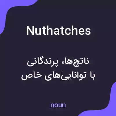 معنی nuthatches به فارسی معنی nuthatches به فارسی