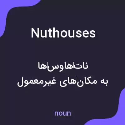 معنی nuthouses به فارسی