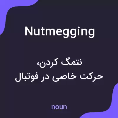 معنی nutmegging به فارسی معنی nutmegging به فارسی