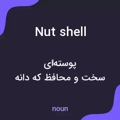 معنی nut shell به فارسی معنی nut shell به فارسی