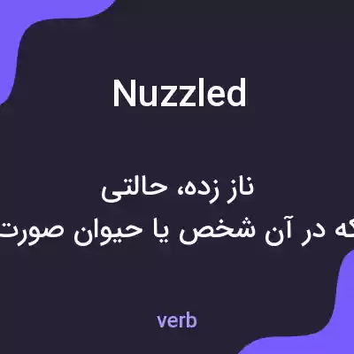 معنی nuzzled به فارسی معنی nuzzled به فارسی