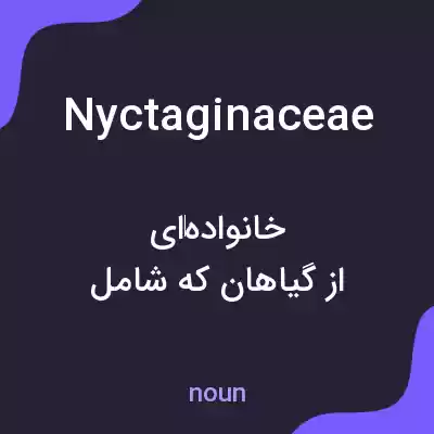 معنی nyctaginaceae به فارسی معنی nyctaginaceae به فارسی