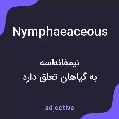 معنی nymphaeaceous به فارسی معنی nymphaeaceous به فارسی