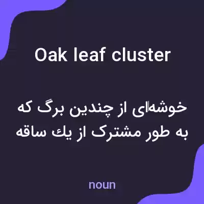 معنی oak leaf cluster به فارسی معنی oak leaf cluster به فارسی