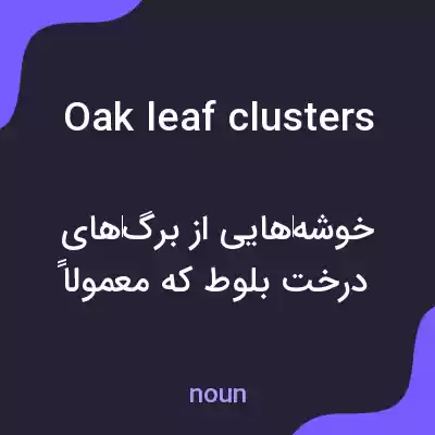 معنی oak leaf clusters به فارسی معنی oak leaf clusters به فارسی