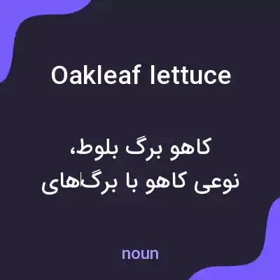 معنی oakleaf lettuce به فارسی معنی oakleaf lettuce به فارسی