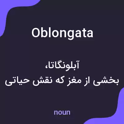 معنی oblongata به فارسی معنی oblongata به فارسی