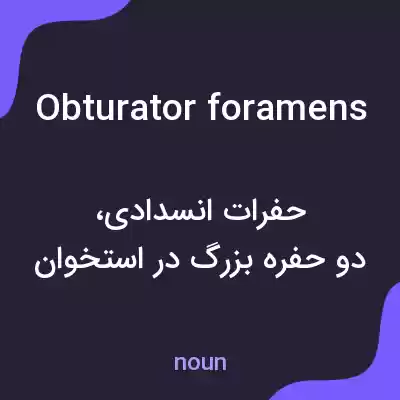 معنی obturator foramens به فارسی معنی obturator foramens به فارسی