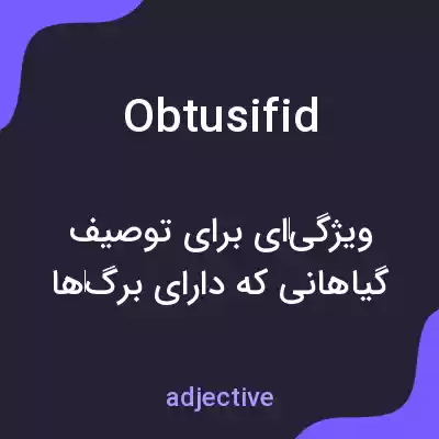 معنی obtusifid به فارسی معنی obtusifid به فارسی