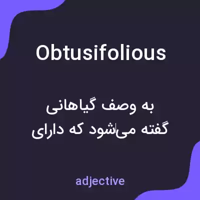 معنی obtusifolious به فارسی معنی obtusifolious به فارسی
