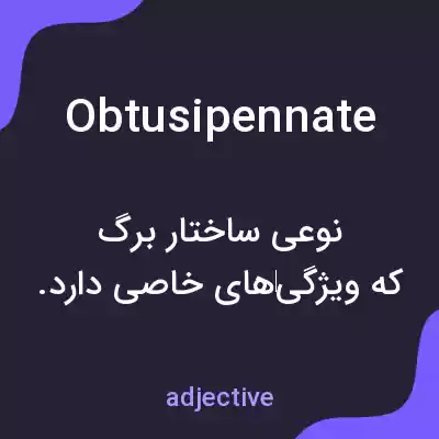 معنی obtusipennate به فارسی معنی obtusipennate به فارسی