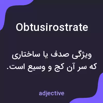 معنی obtusirostrate به فارسی معنی obtusirostrate به فارسی