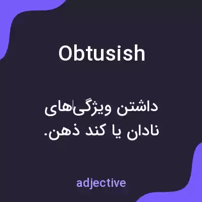 معنی obtusish به فارسی معنی obtusish به فارسی
