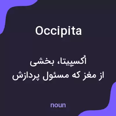 معنی occipita به فارسی معنی occipita به فارسی