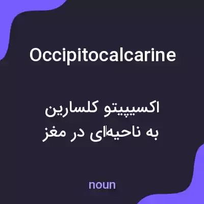 معنی occipitocalcarine به فارسی معنی occipitocalcarine به فارسی